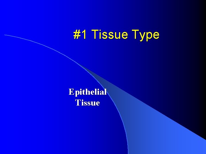 #1 Tissue Type Epithelial Tissue 