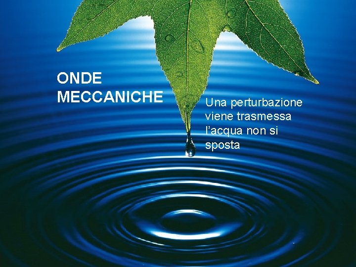 ONDE MECCANICHE Una perturbazione viene trasmessa l’acqua non si sposta 