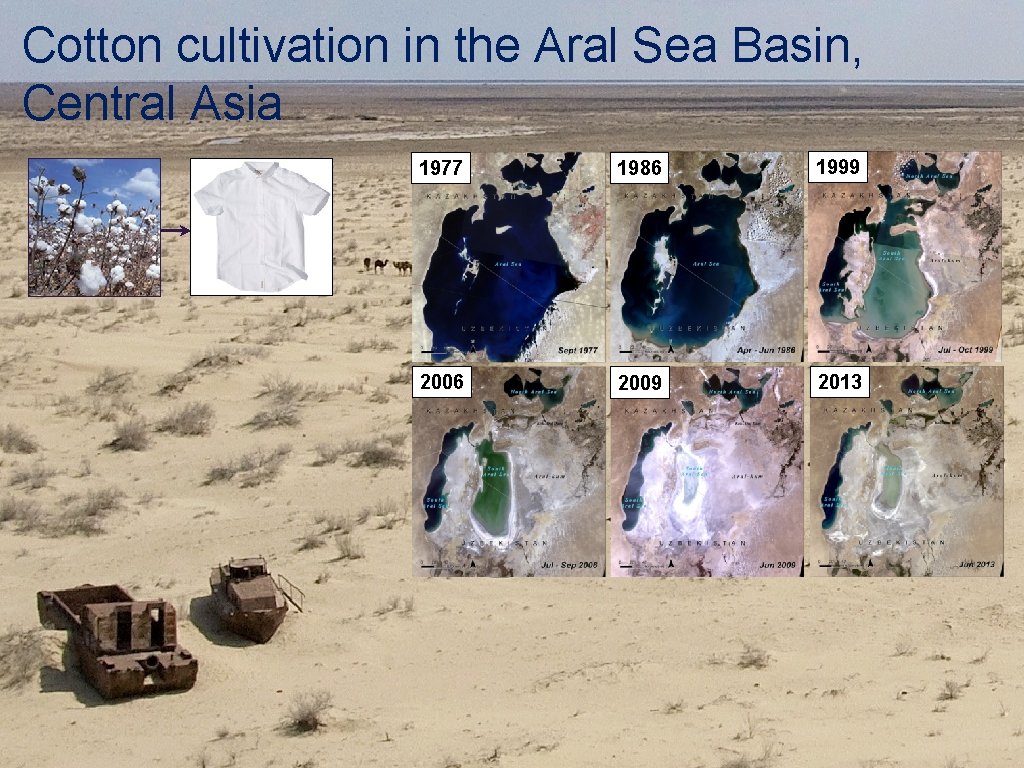 Cotton cultivation in the Aral Sea Basin, Central Asia 1977 1986 1999 2006 2009