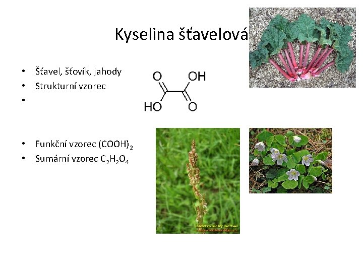 Kyselina šťavelová • Šťavel, šťovík, jahody • Strukturní vzorec • • Funkční vzorec (COOH)2