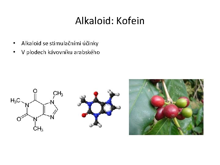 Alkaloid: Kofein • Alkaloid se stimulačními účinky • V plodech kávovníku arabského 