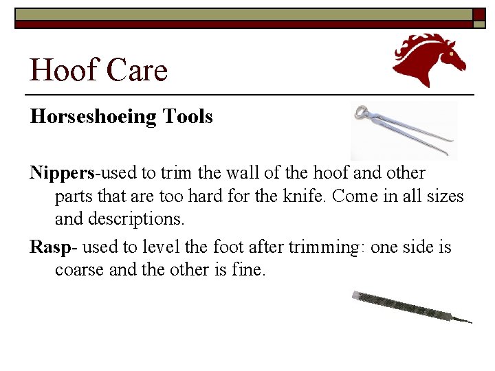 Hoof Care Horseshoeing Tools Nippers-used to trim the wall of the hoof and other