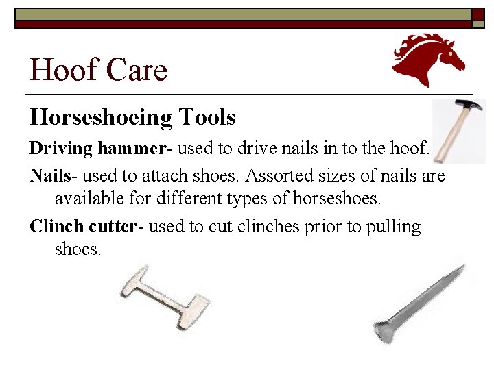Hoof Care Horseshoeing Tools Driving hammer- used to drive nails in to the hoof.