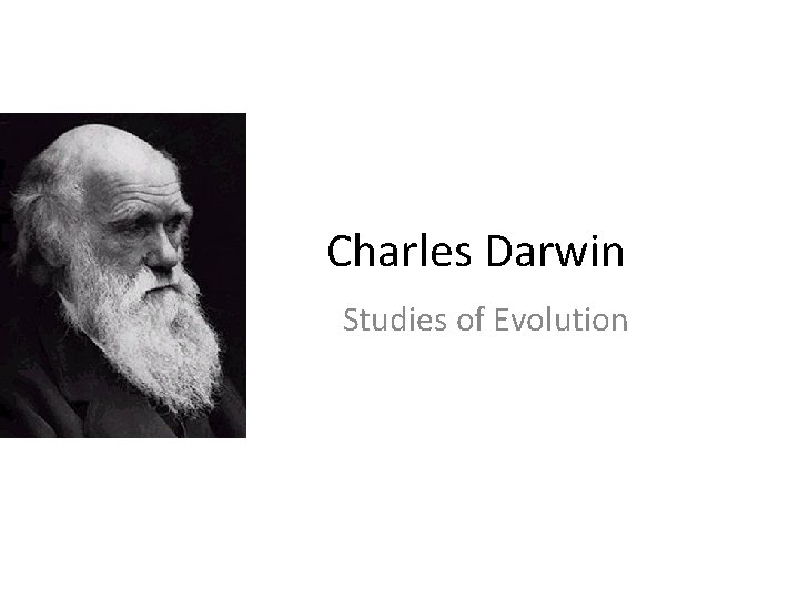 Charles Darwin Studies of Evolution 