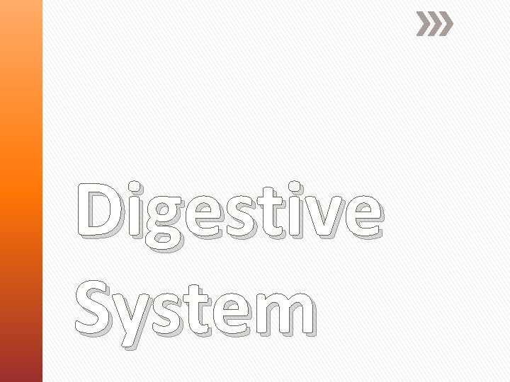 Digestive System 