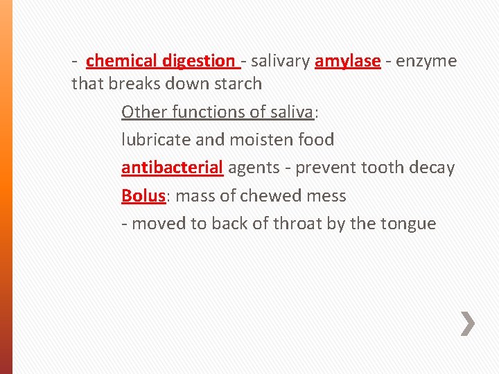 - chemical digestion - salivary amylase - enzyme that breaks down starch Other functions