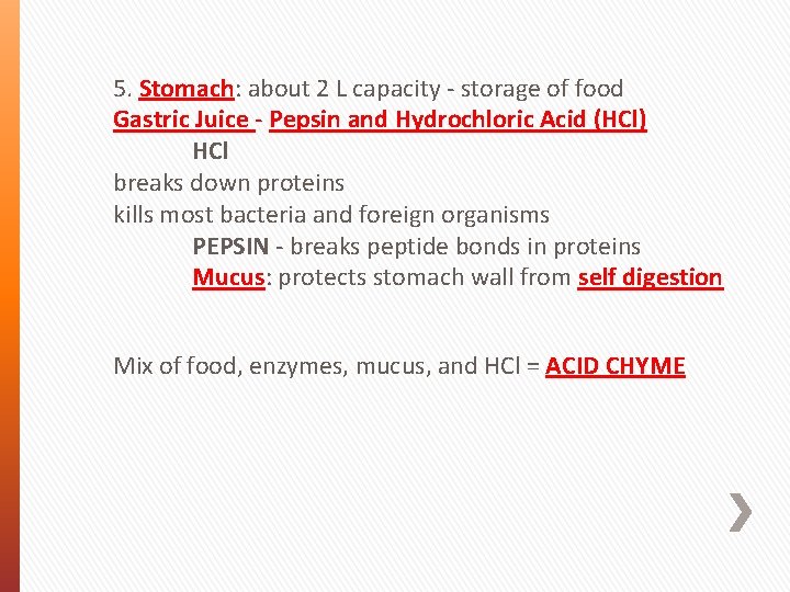 5. Stomach: about 2 L capacity - storage of food Gastric Juice - Pepsin