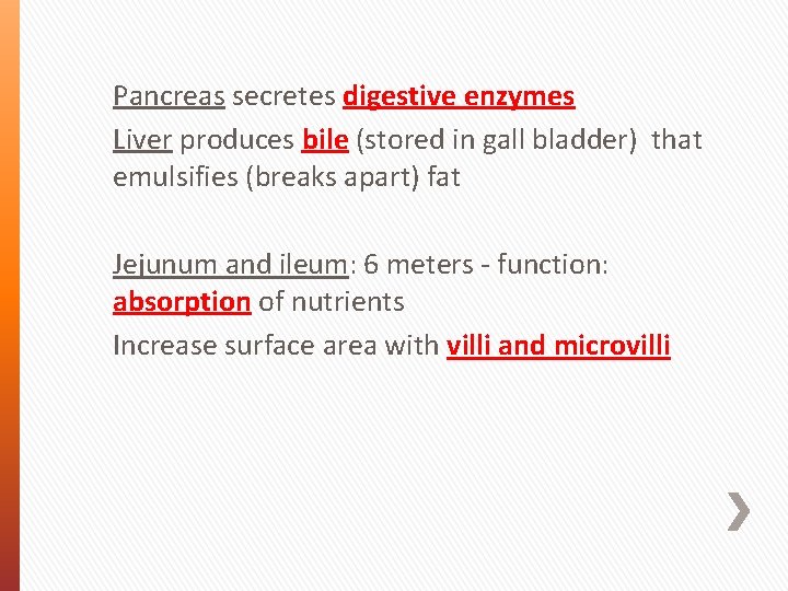 Pancreas secretes digestive enzymes Liver produces bile (stored in gall bladder) that emulsifies (breaks