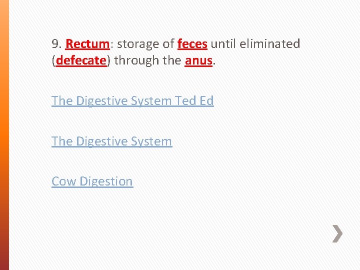 9. Rectum: storage of feces until eliminated (defecate) through the anus. The Digestive System