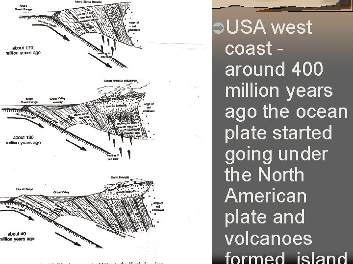 400 – 200 mya ÜUSA west coast around 400 million years ago the ocean