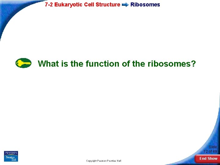 7 -2 Eukaryotic Cell Structure Ribosomes What is the function of the ribosomes? Slide