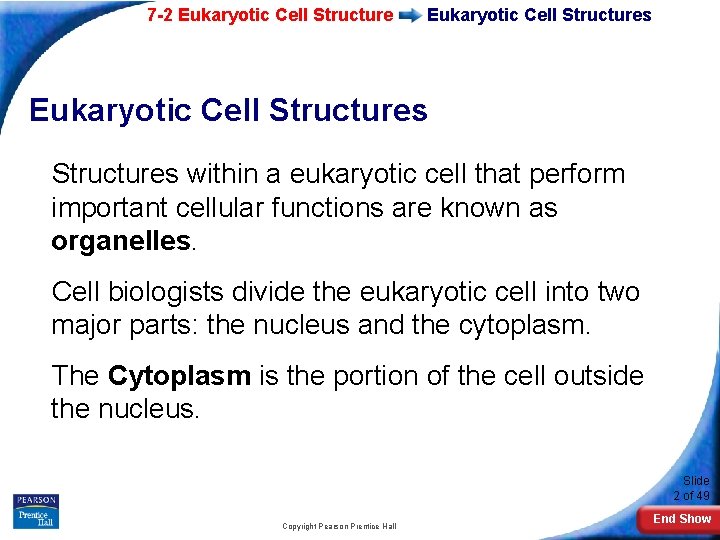 7 -2 Eukaryotic Cell Structures within a eukaryotic cell that perform important cellular functions