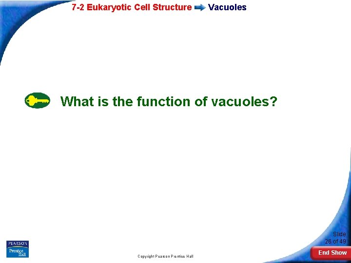 7 -2 Eukaryotic Cell Structure Vacuoles What is the function of vacuoles? Slide 26