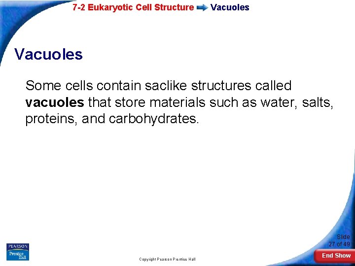 7 -2 Eukaryotic Cell Structure Vacuoles Some cells contain saclike structures called vacuoles that