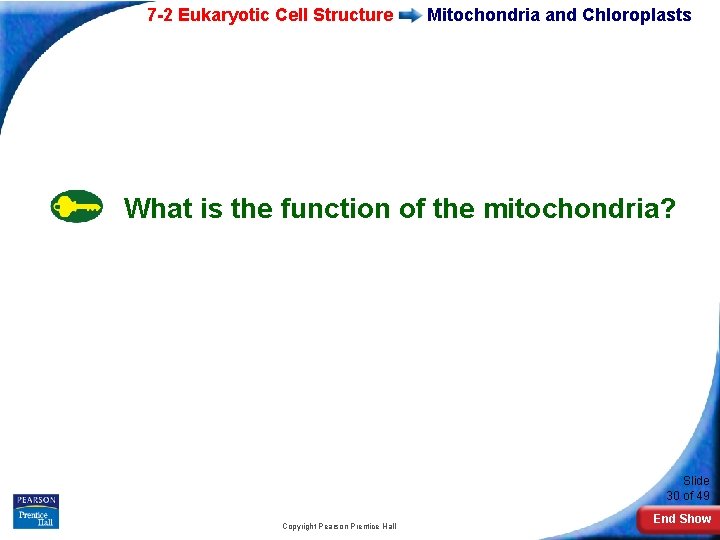 7 -2 Eukaryotic Cell Structure Mitochondria and Chloroplasts What is the function of the