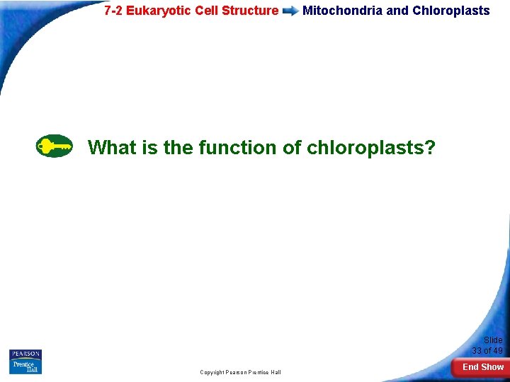7 -2 Eukaryotic Cell Structure Mitochondria and Chloroplasts What is the function of chloroplasts?