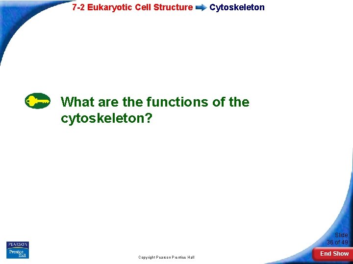 7 -2 Eukaryotic Cell Structure Cytoskeleton What are the functions of the cytoskeleton? Slide