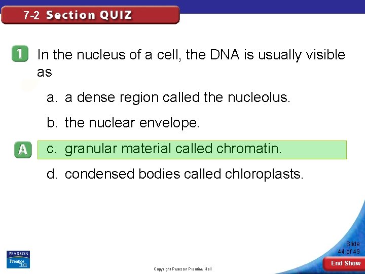 7 -2 In the nucleus of a cell, the DNA is usually visible as