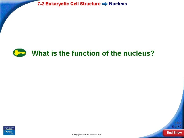 7 -2 Eukaryotic Cell Structure Nucleus What is the function of the nucleus? Slide