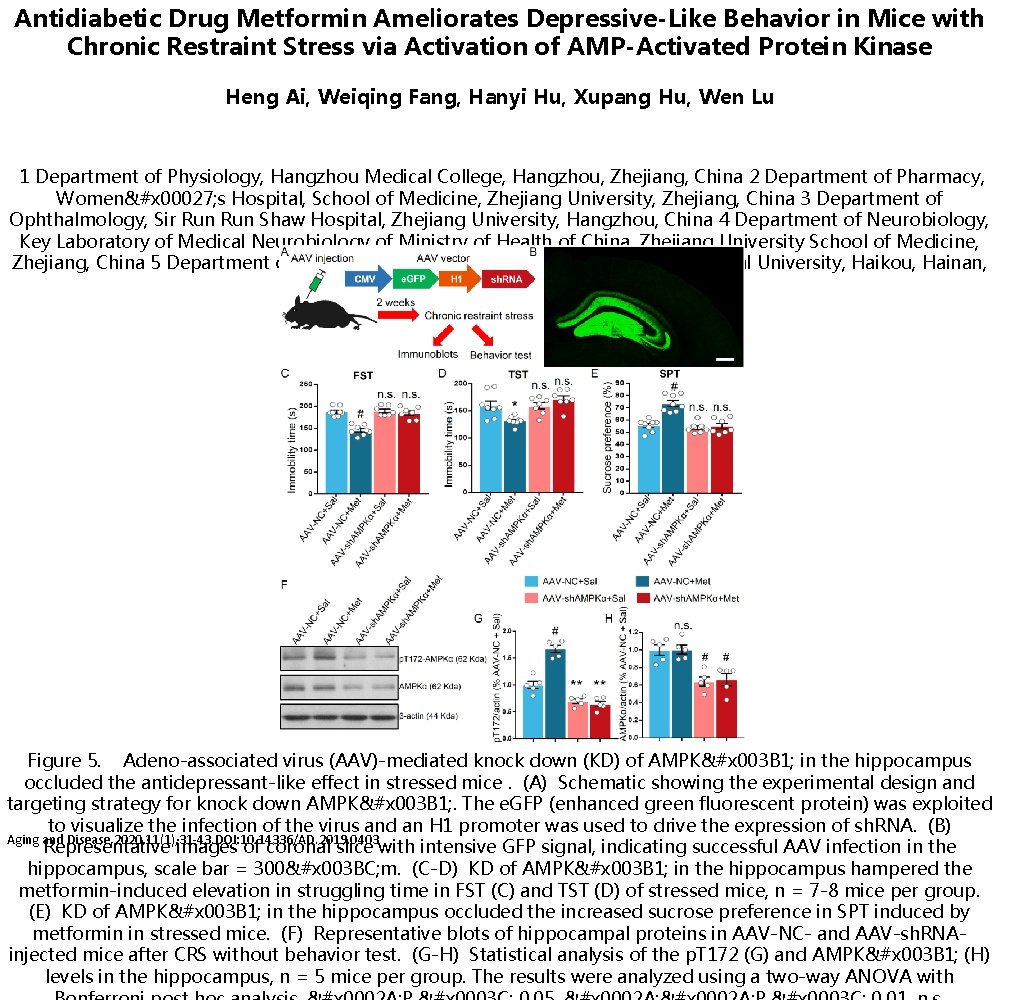 Antidiabetic Drug Metformin Ameliorates Depressive-Like Behavior in Mice with Chronic Restraint Stress via Activation