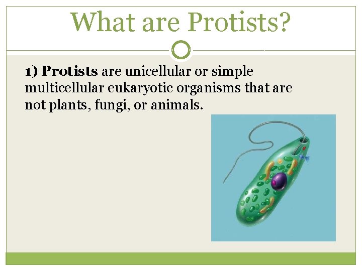 What are Protists? 1) Protists are unicellular or simple multicellular eukaryotic organisms that are