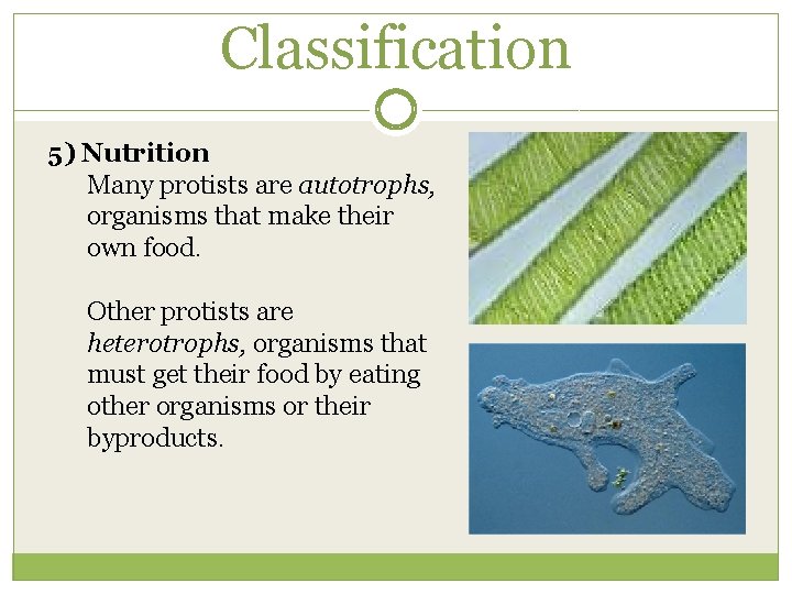 Classification 5) Nutrition Many protists are autotrophs, organisms that make their own food. Other