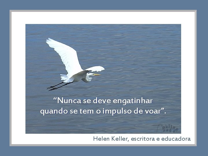 “Nunca se deve engatinhar quando se tem o impulso de voar”. Helen Keller, escritora