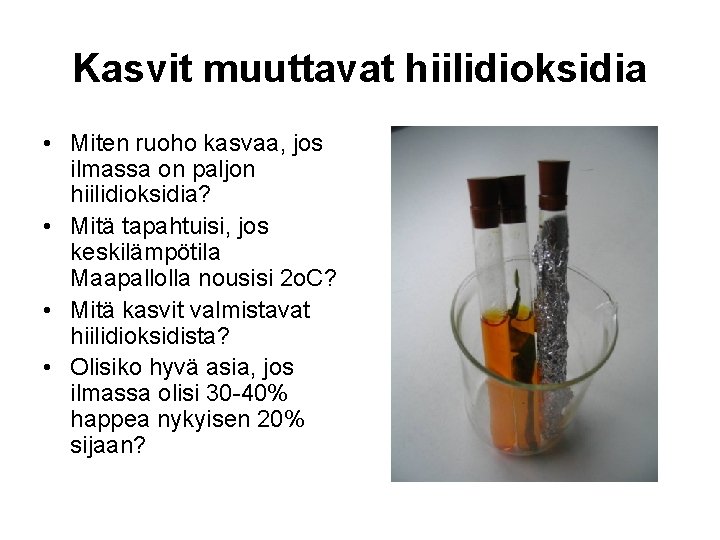 Kasvit muuttavat hiilidioksidia • Miten ruoho kasvaa, jos ilmassa on paljon hiilidioksidia? • Mitä