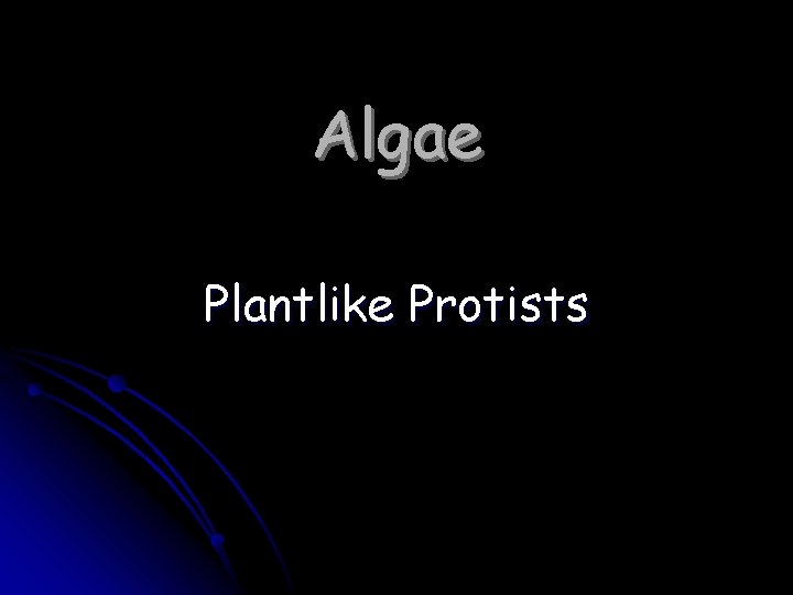 Algae Plantlike Protists 