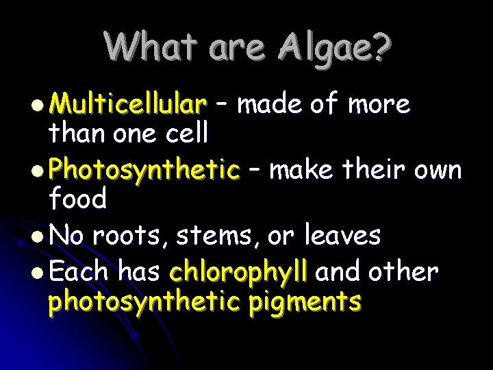 What are Algae? l Multicellular – made of more than one cell l Photosynthetic