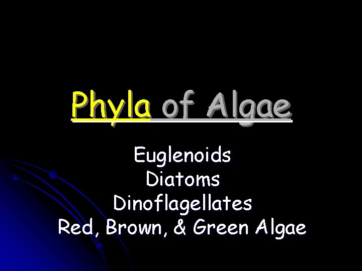 Phyla of Algae Euglenoids Diatoms Dinoflagellates Red, Brown, & Green Algae 
