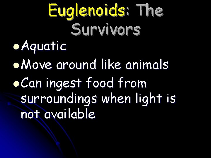 Euglenoids: The Survivors l Aquatic l Move around like animals l Can ingest food