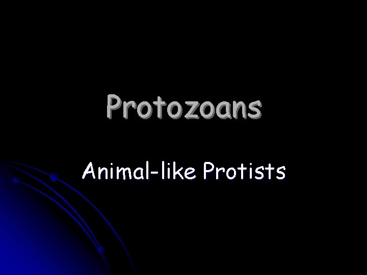 Protozoans Animal-like Protists 