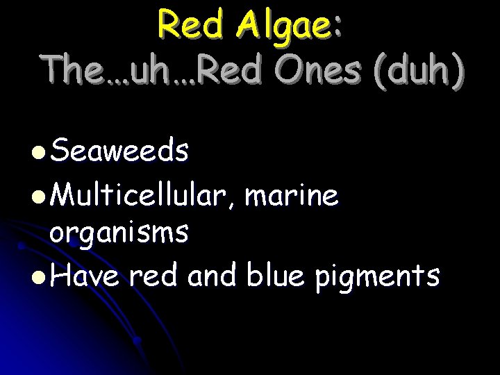 Red Algae: The…uh…Red Ones (duh) l Seaweeds l Multicellular, marine organisms l Have red