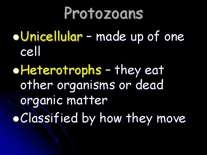 Protozoans l Unicellular – made up of one cell l Heterotrophs – they eat