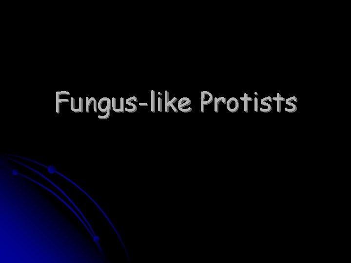 Fungus-like Protists 