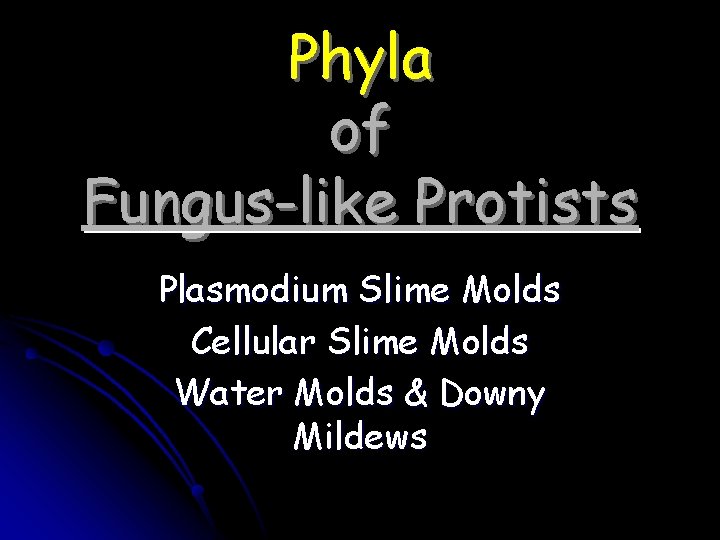 Phyla of Fungus-like Protists Plasmodium Slime Molds Cellular Slime Molds Water Molds & Downy