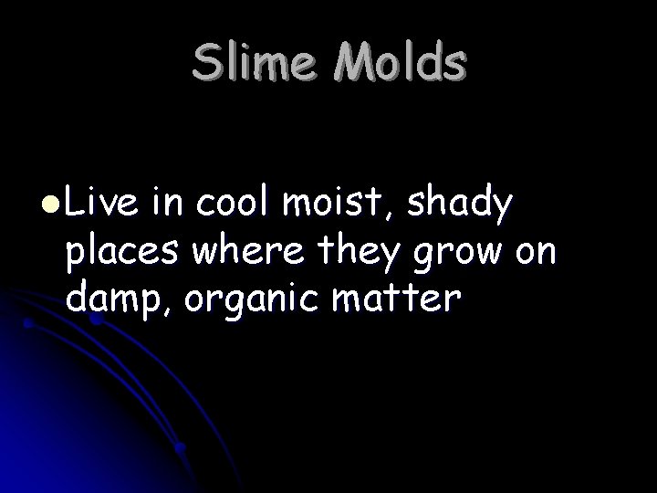 Slime Molds l Live in cool moist, shady places where they grow on damp,