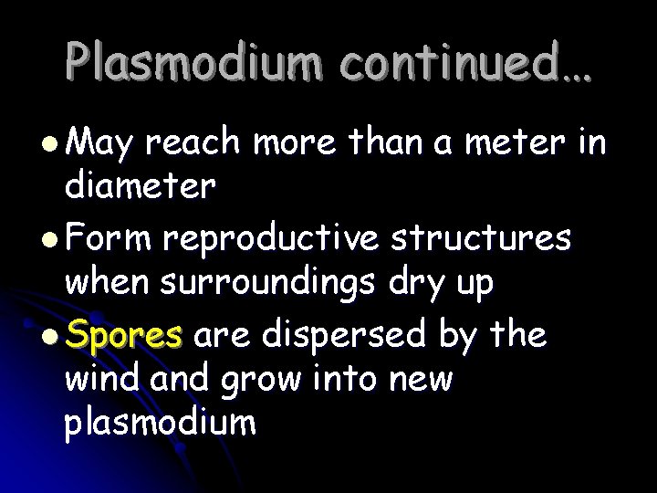 Plasmodium continued… l May reach more than a meter in diameter l Form reproductive