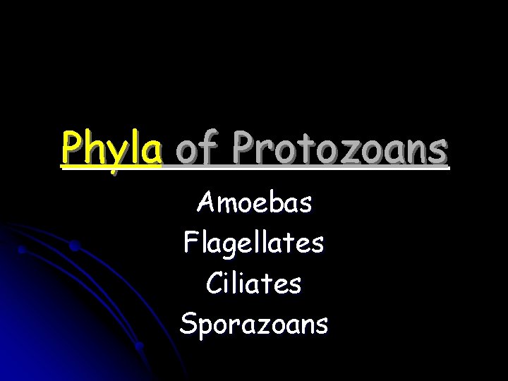 Phyla of Protozoans Amoebas Flagellates Ciliates Sporazoans 