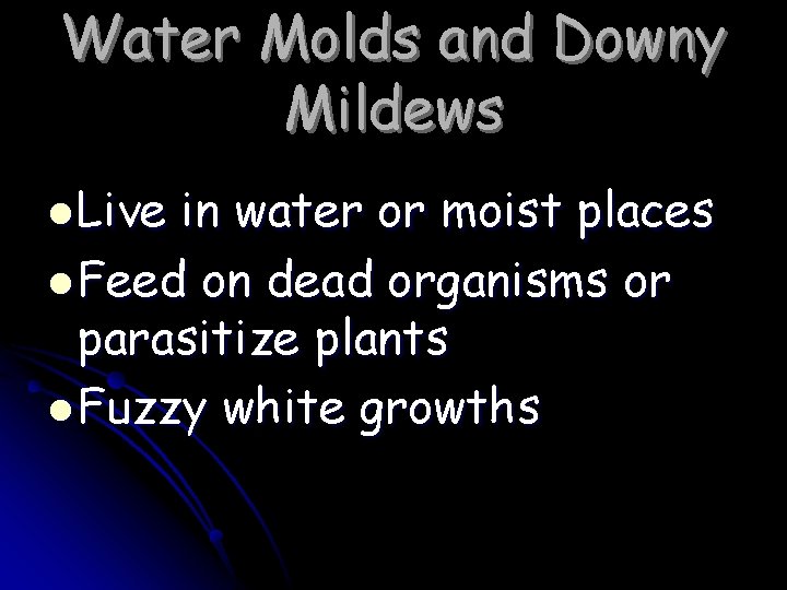 Water Molds and Downy Mildews l Live in water or moist places l Feed