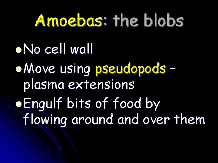 Amoebas: the blobs l No cell wall l Move using pseudopods – plasma extensions