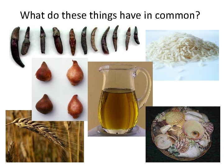 What do these things have in common? 