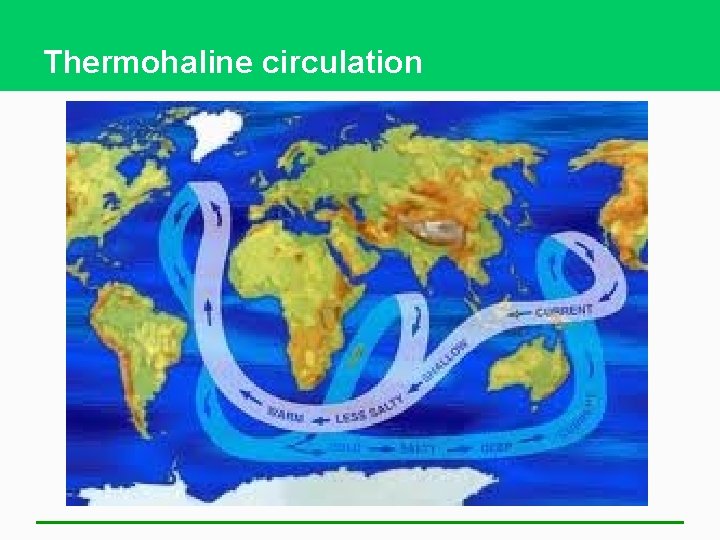 Thermohaline circulation 