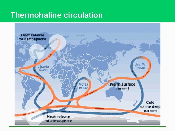 Thermohaline circulation 