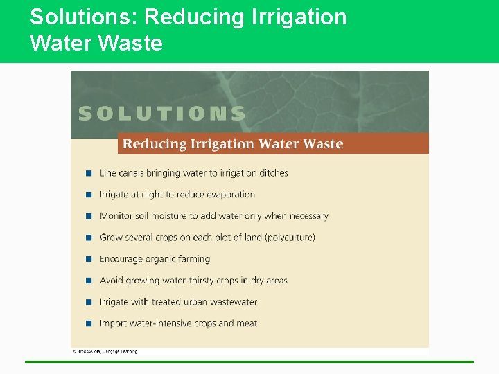Solutions: Reducing Irrigation Water Waste 