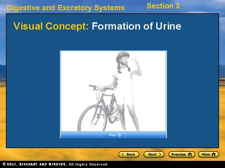 Digestive and Excretory Systems Section 3 Visual Concept: Formation of Urine 