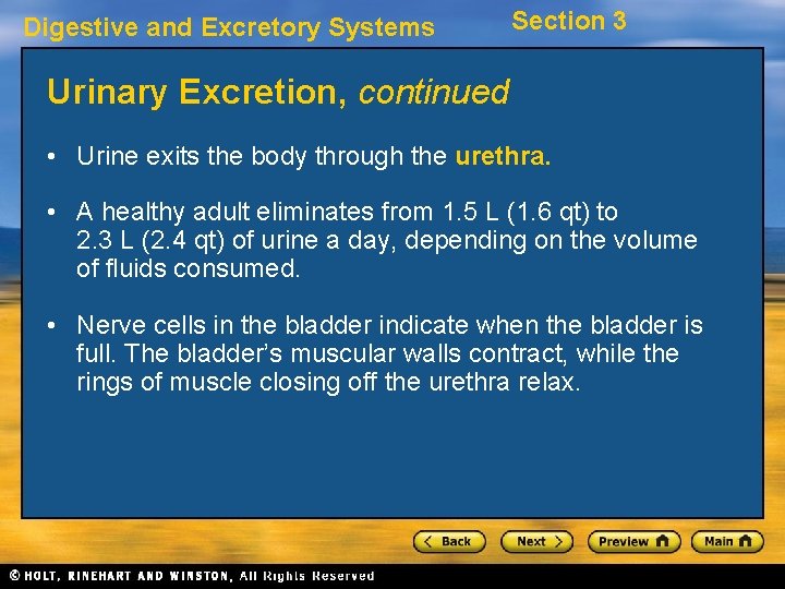Digestive and Excretory Systems Section 3 Urinary Excretion, continued • Urine exits the body