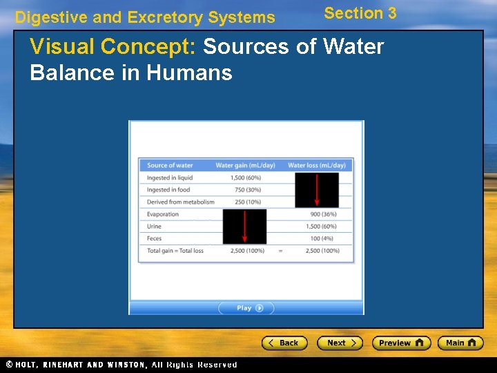 Digestive and Excretory Systems Section 3 Visual Concept: Sources of Water Balance in Humans