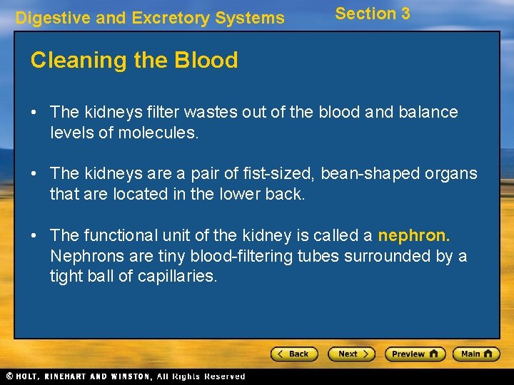 Digestive and Excretory Systems Section 3 Cleaning the Blood • The kidneys filter wastes